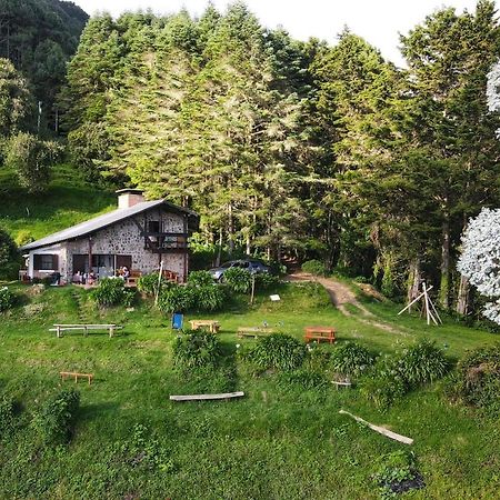 El Pital Ecolodge San Ignacio Dış mekan fotoğraf