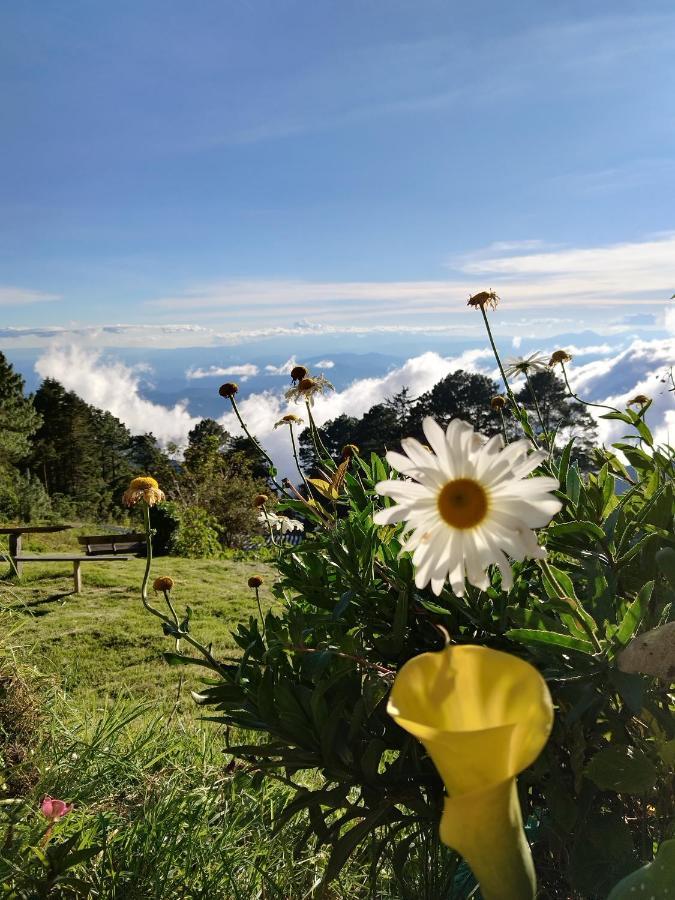 El Pital Ecolodge San Ignacio Dış mekan fotoğraf