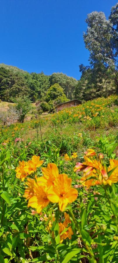 El Pital Ecolodge San Ignacio Dış mekan fotoğraf