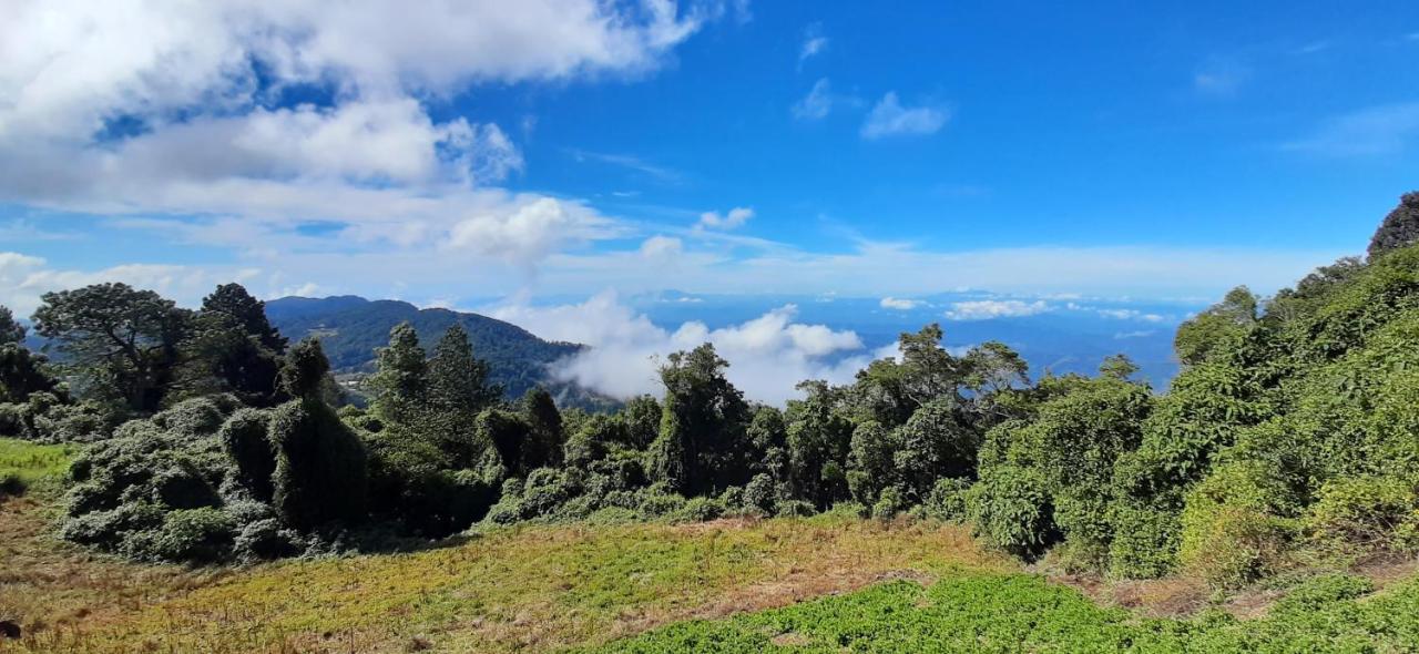 El Pital Ecolodge San Ignacio Dış mekan fotoğraf