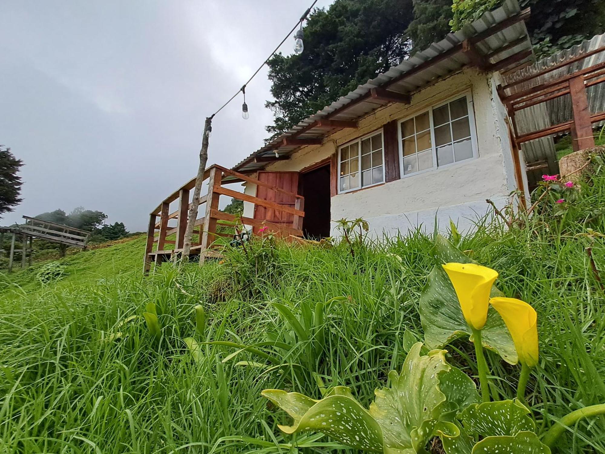 El Pital Ecolodge San Ignacio Dış mekan fotoğraf